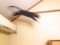 f:id:apesnotmonkeys:20130511192139j:image:small