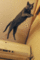 f:id:apesnotmonkeys:20130603192548j:image:small