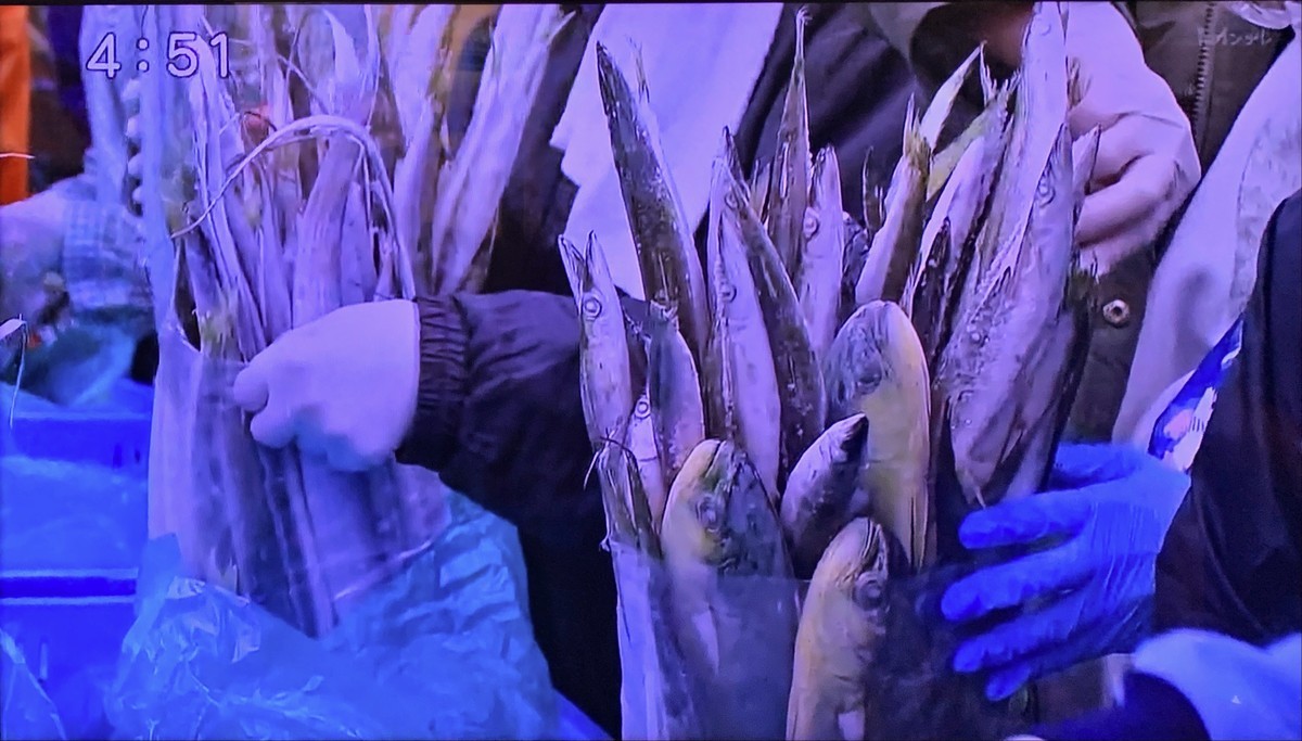 f:id:apesnotmonkeys:20200727094327j:plain