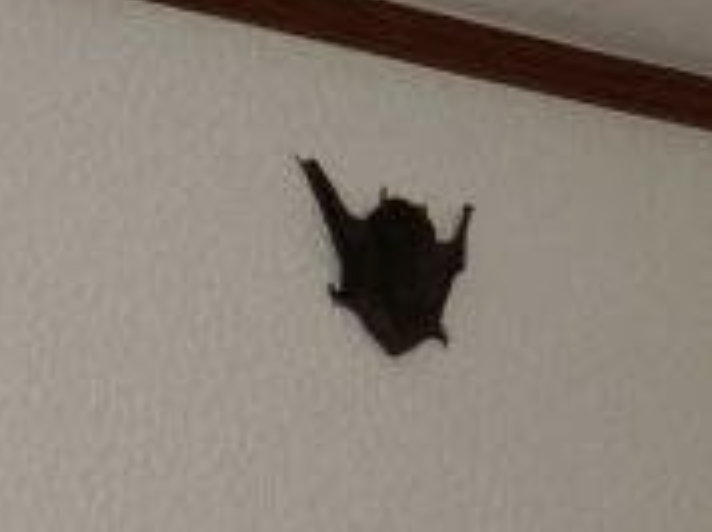 余談 ２ 科学館員の回顧録