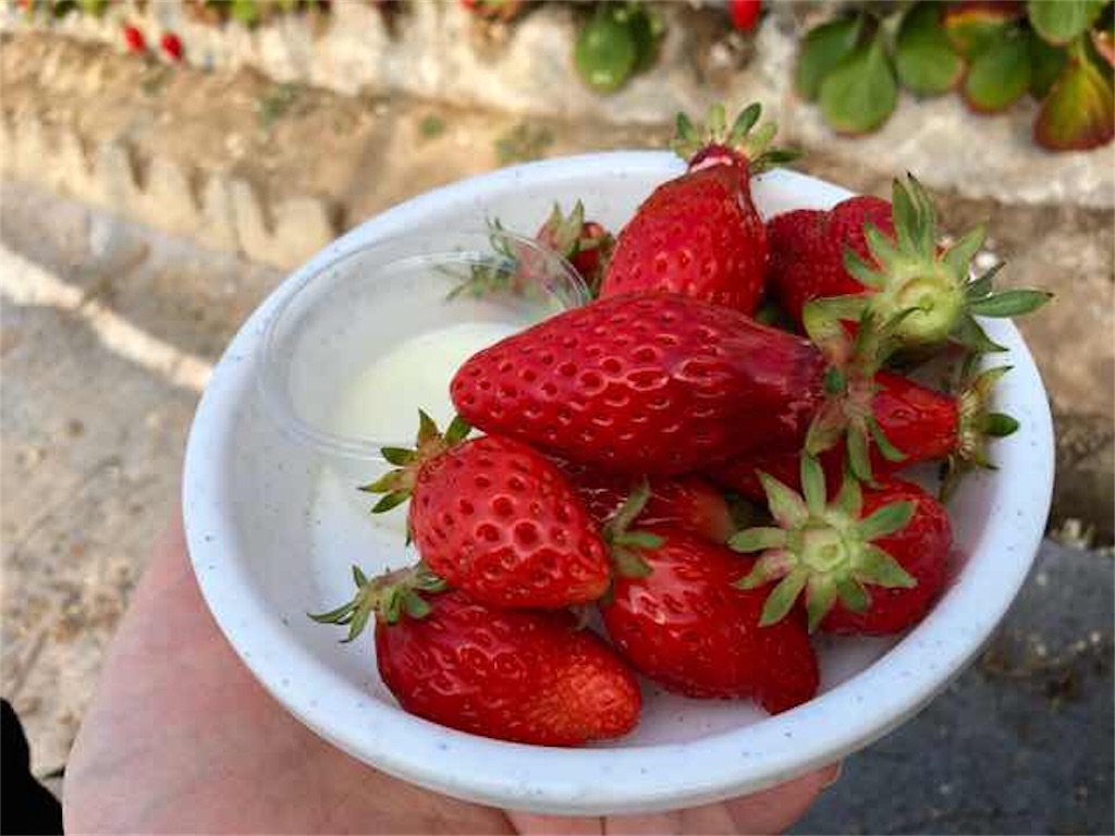 f:id:aphoptosis:20180313050138j:image f:id:aphoptosis:20180313050138j:image