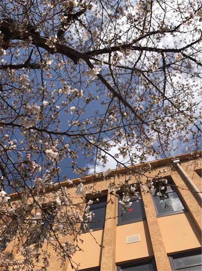 f:id:aphoptosis:20180405025741j:image f:id:aphoptosis:20180405025741j:image