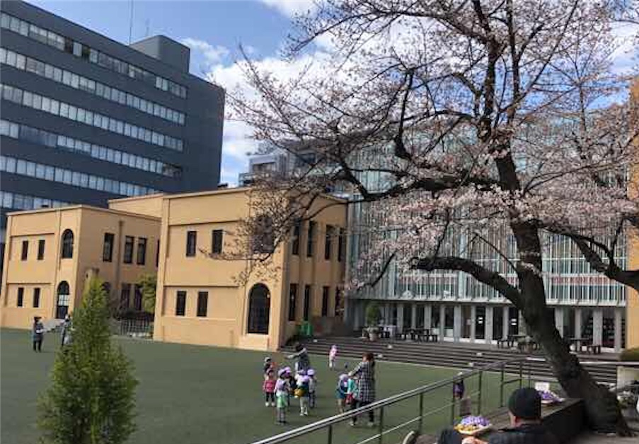 f:id:aphoptosis:20180409060339j:plain f:id:aphoptosis:20180409060339j:plain