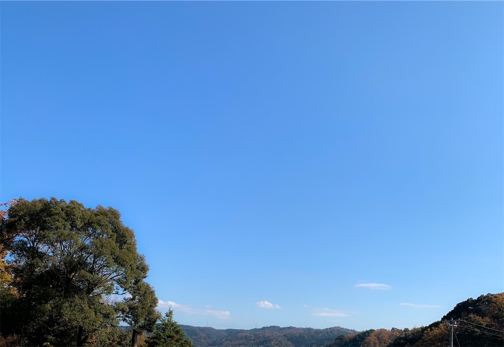 f:id:apiapix:20200203212736j:image f:id:apiapix:20200203212736j:image