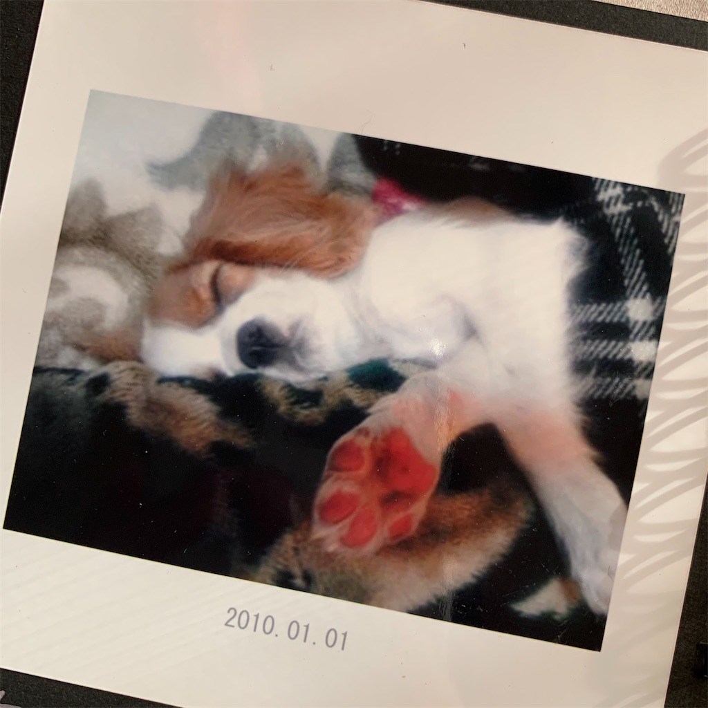 f:id:apiapix:20200203212852j:image f:id:apiapix:20200203212852j:image