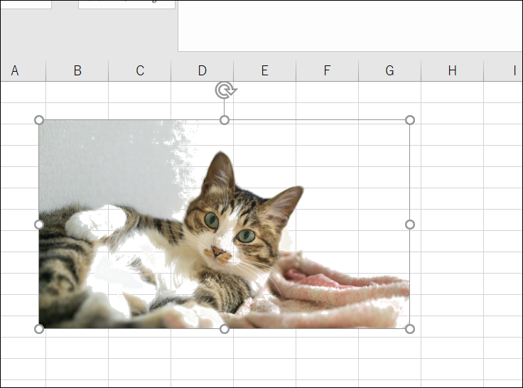 f:id:apicode:20191227095526p:plain f:id:apicode:20191227095526p:plain