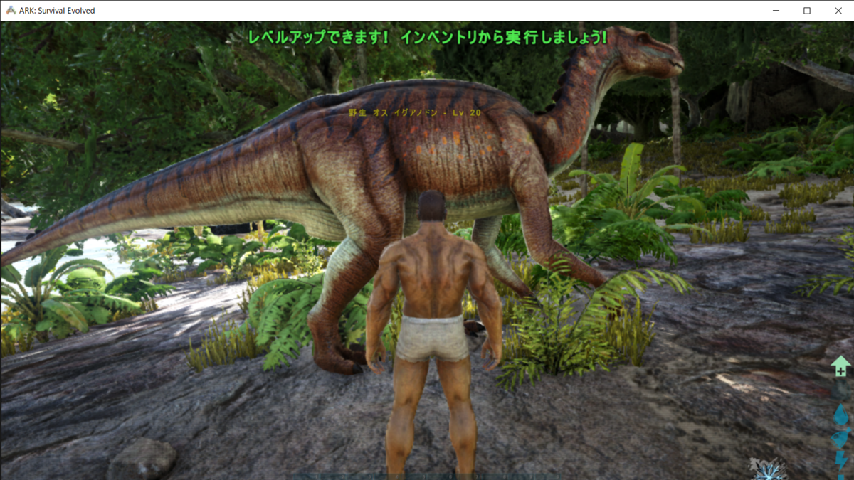 f:id:apicode:20200304211522p:plain f:id:apicode:20200304211522p:plain