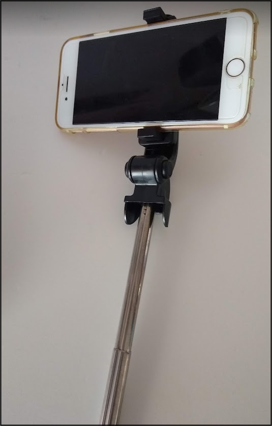 f:id:apicode:20211120101051p:plain