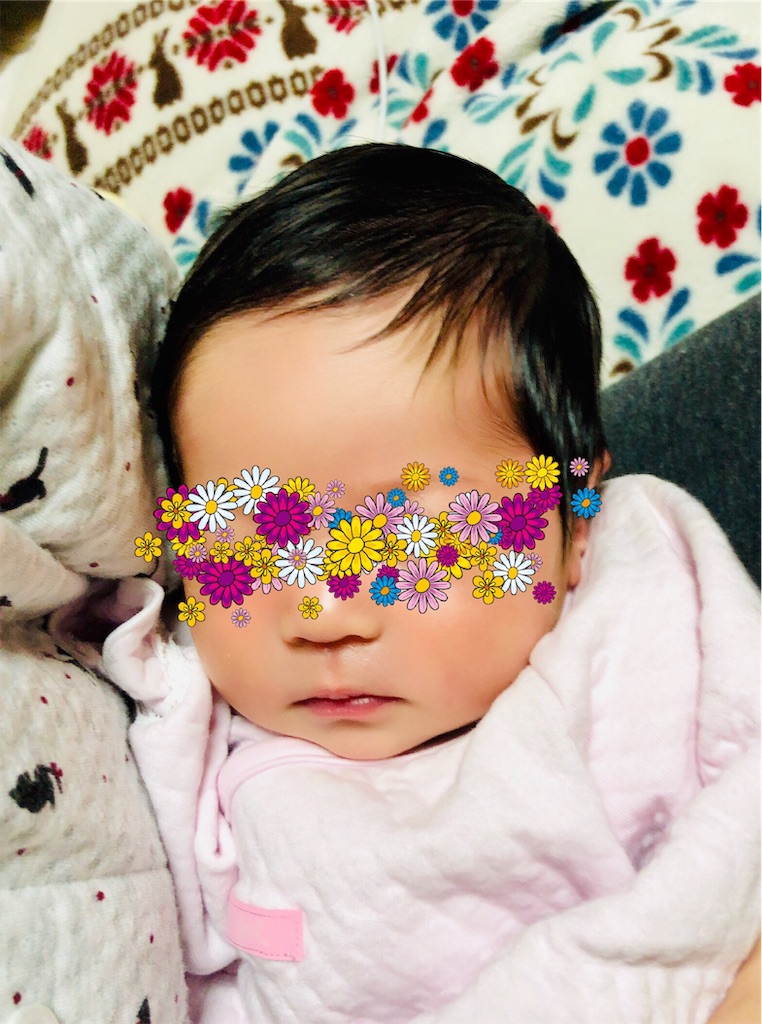 f:id:apiyama-apisuke:20190101110007j:image f:id:apiyama-apisuke:20190101110007j:image