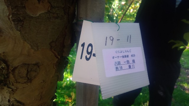 f:id:apli44:20201115054432j:image f:id:apli44:20201115054432j:image