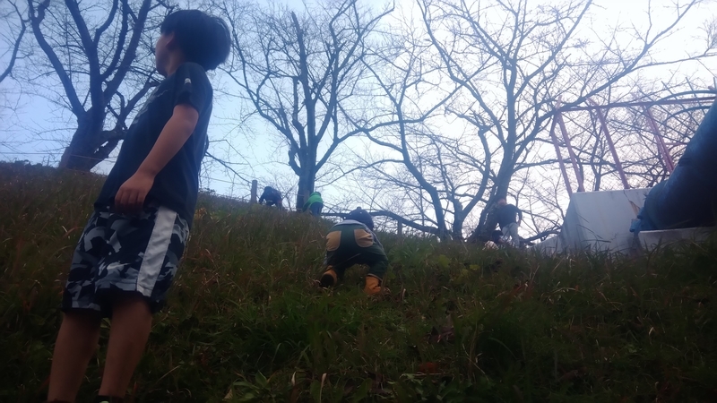 f:id:apli44:20201123050614j:plain