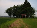 [寺社]南宮神社参道