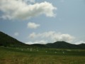 [空][山]田代平高原