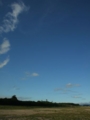 [海][空]野蒜の青空