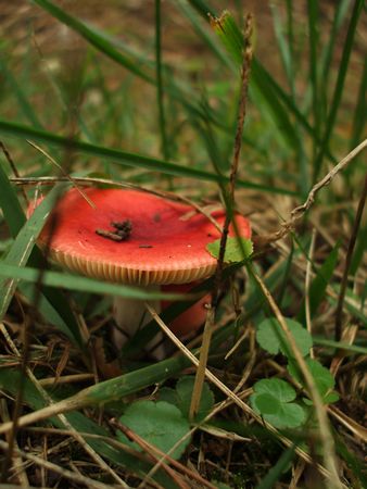 f:id:apoca:20090927201359j:image