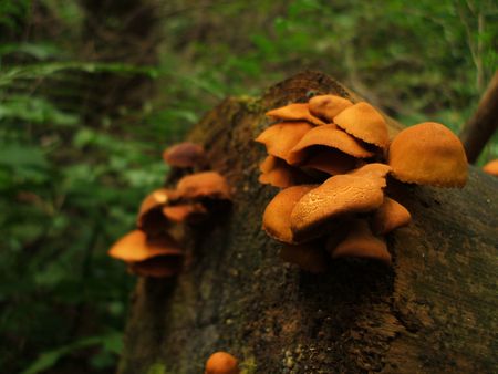 f:id:apoca:20090927201403j:image