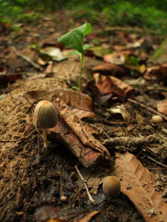 f:id:apoca:20090927201406j:image