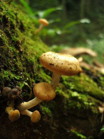 f:id:apoca:20091014231440j:image