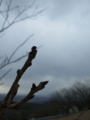 [空][山]加護坊山