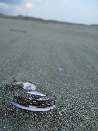 f:id:apoca:20100327205252j:image