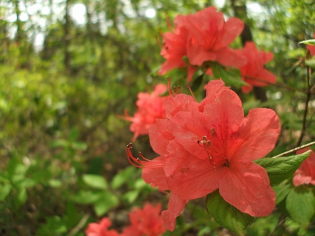 f:id:apoca:20100516231051j:image