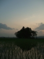 [寺社][空]南宮神社の夏至の夕暮れ