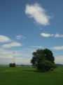 [寺社][空]多賀城鳴神の祠と青空