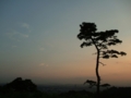[空]岩切城址からの夕空