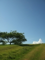 [空]加護坊山の青空