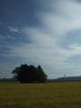 [空][寺社]秋空と南宮神社