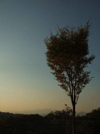 f:id:apoca:20101108231542j:image