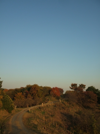 f:id:apoca:20101108231543j:image