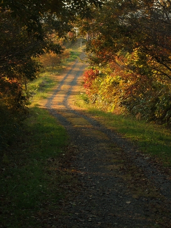 f:id:apoca:20101108231544j:image