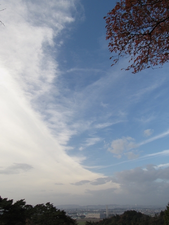 f:id:apoca:20101113110101j:image