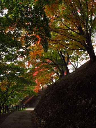 f:id:apoca:20101113110105j:image