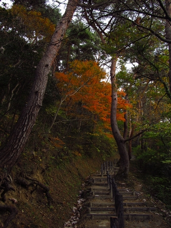 f:id:apoca:20101115224206j:image