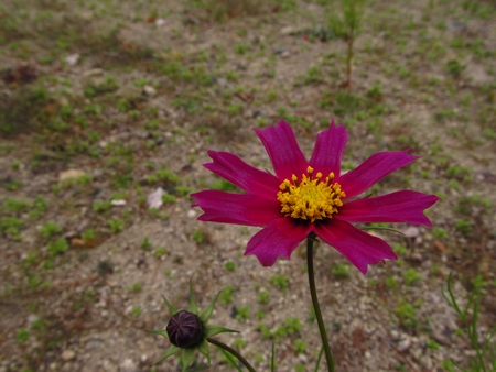 f:id:apoca:20101115224213j:image