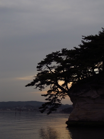 f:id:apoca:20101117230256j:image