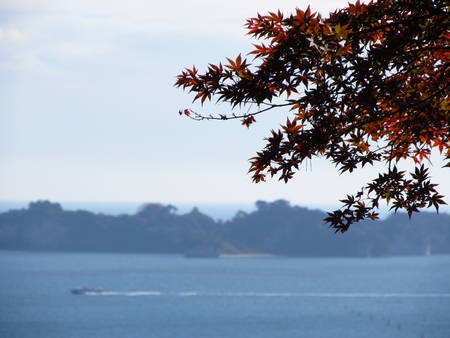 f:id:apoca:20101118191620j:image