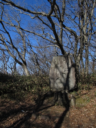 f:id:apoca:20101206213103j:image