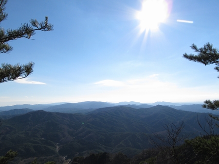 f:id:apoca:20101206213106j:image