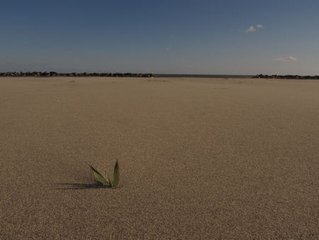 f:id:apoca:20101214225739j:image