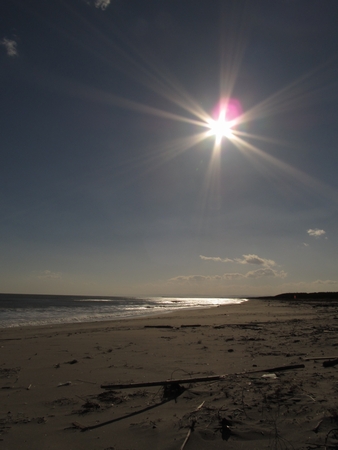 f:id:apoca:20101214225742j:image