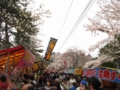 [祭]芦野公園の桜祭り