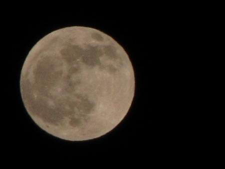 f:id:apoca:20111211141625j:image