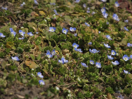 f:id:apoca:20120325192222j:image