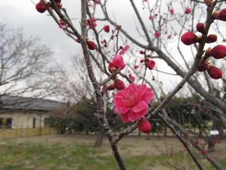 f:id:apoca:20120407142511j:image