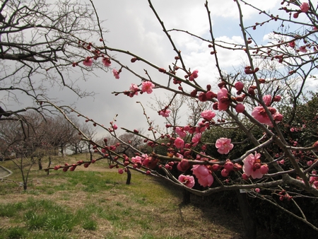 f:id:apoca:20120407142512j:image