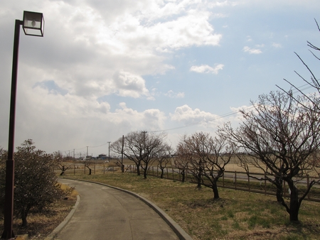 f:id:apoca:20120407142515j:image