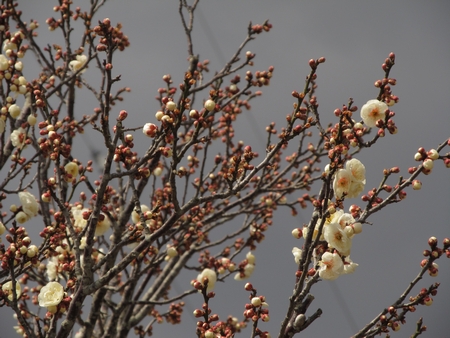 f:id:apoca:20120407142516j:image